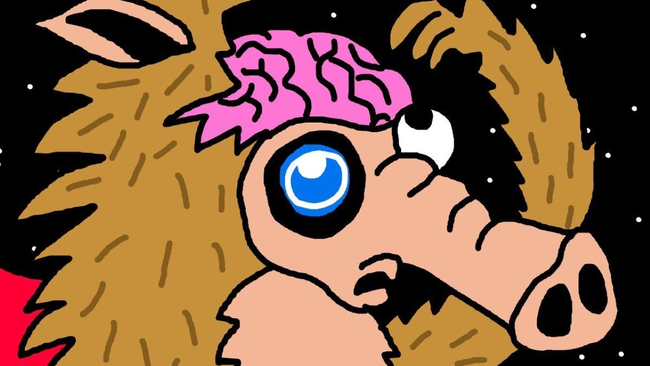 Snorter Bot ti aiuta a trovare le migliori meme coin su cui investire
