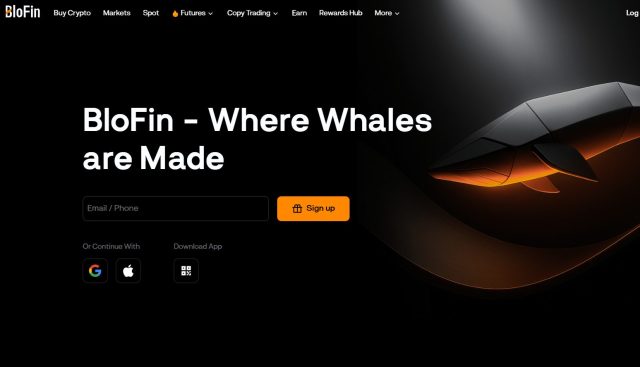 Exchange crypto per principianti - BloFin