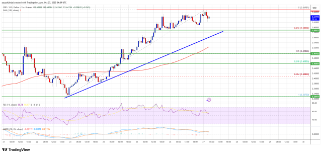 Grafico dell'andamento di prezzo del token XRP