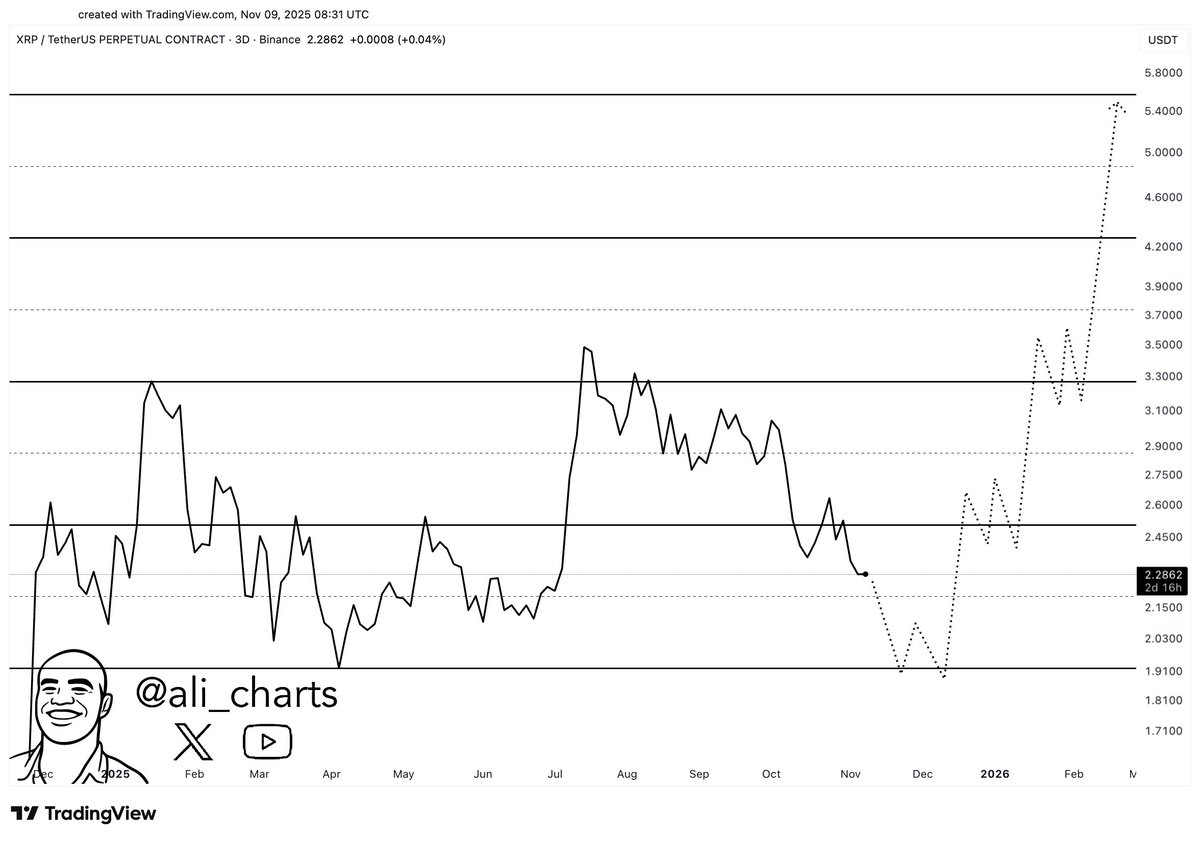 Immagine inerente il contenuto dell'articolo