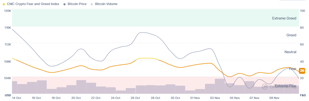 Immagine inerente il contenuto dell'articolo