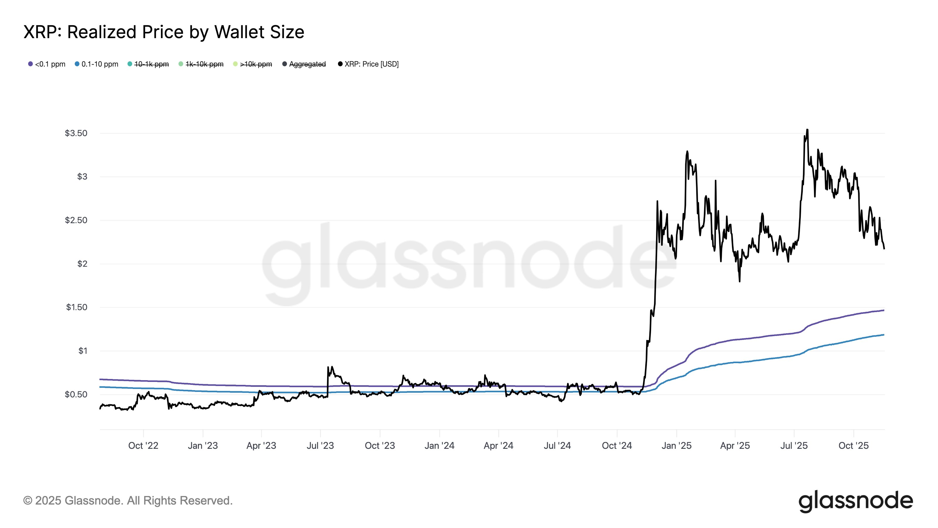 Immagine inerente il contenuto dell'articolo
