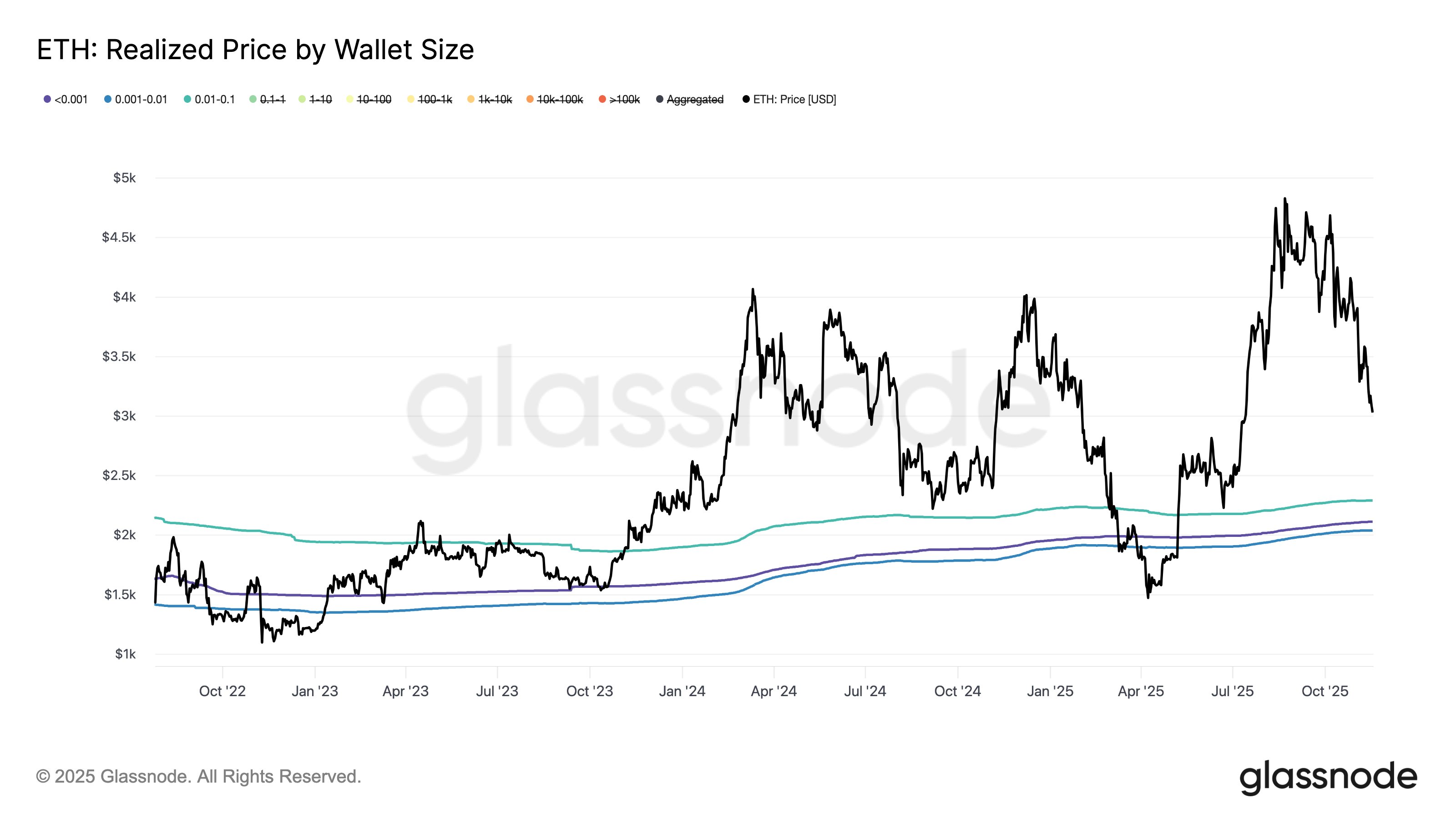 Immagine inerente il contenuto dell'articolo
