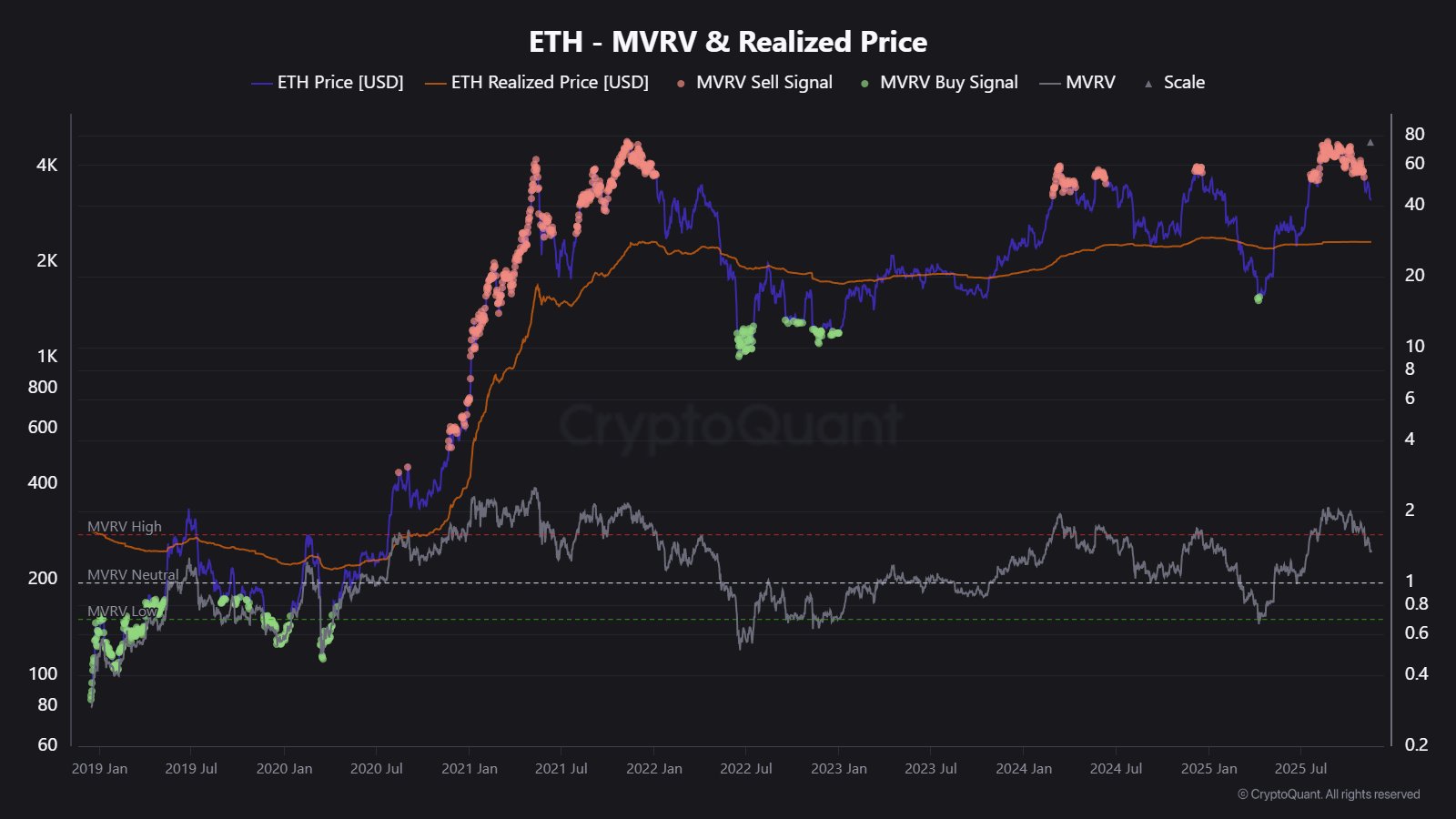 Immagine inerente il contenuto dell'articolo
