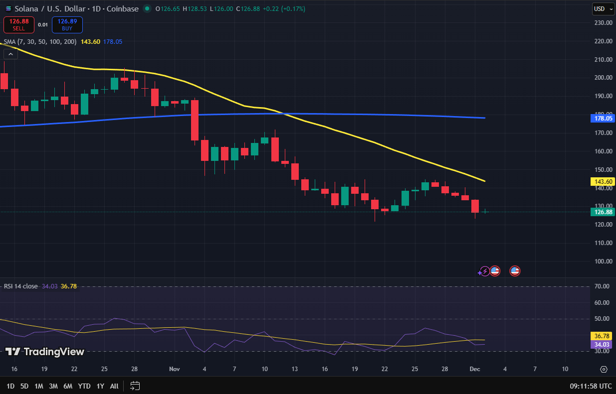 Immagine inerente il contenuto dell'articolo