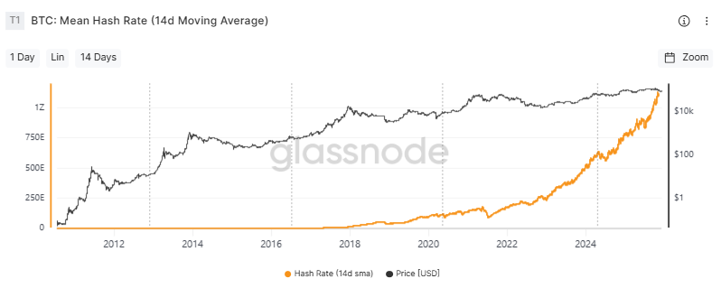 Immagine inerente il contenuto dell'articolo