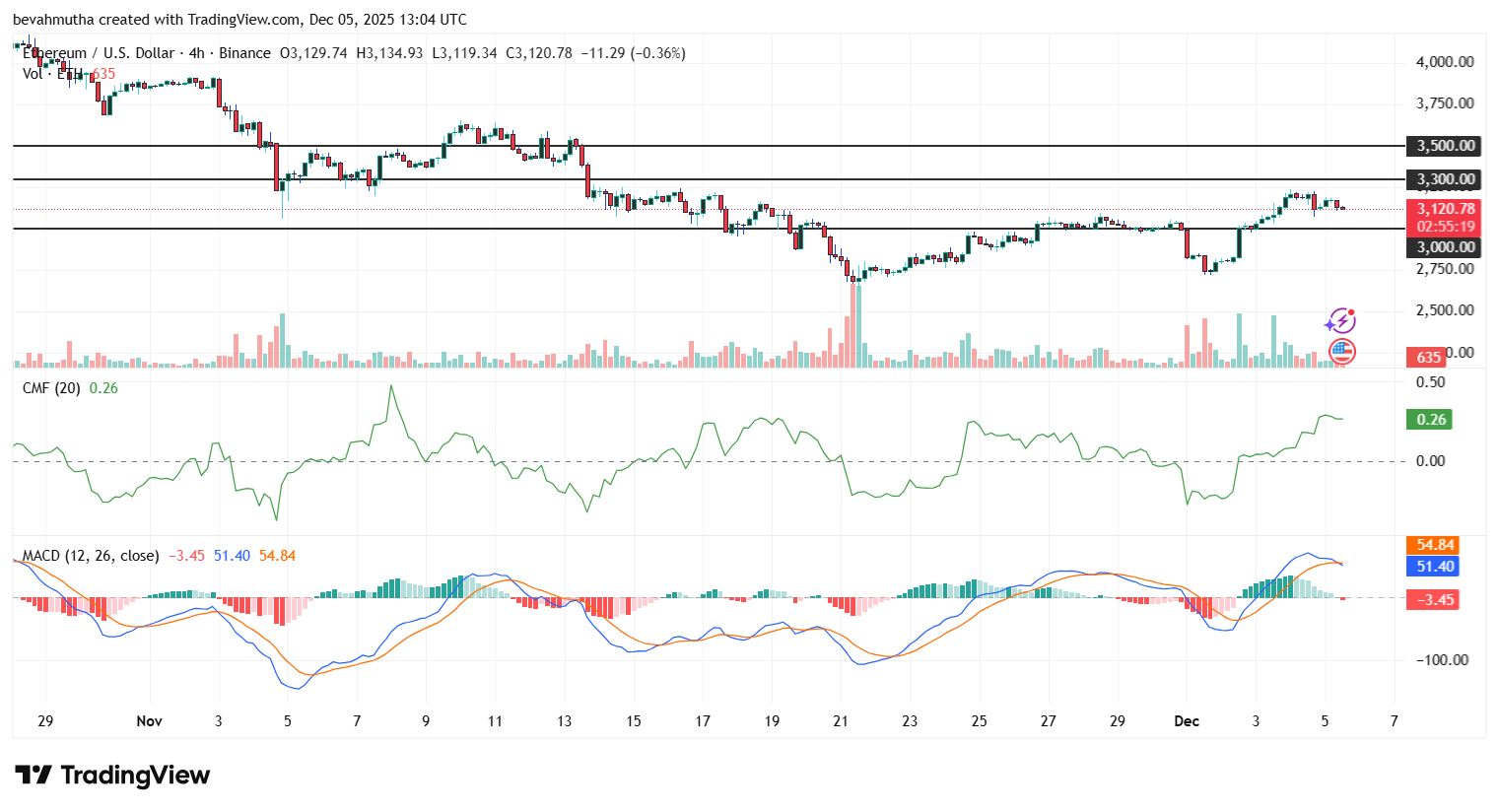 Immagine inerente il contenuto dell'articolo
