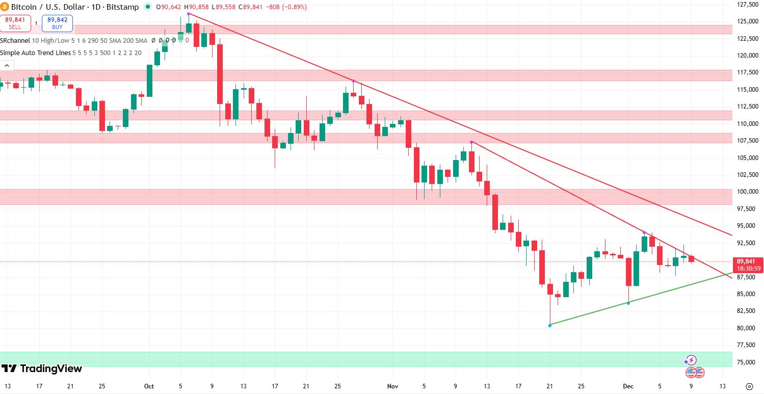 Immagine inerente il contenuto dell'articolo