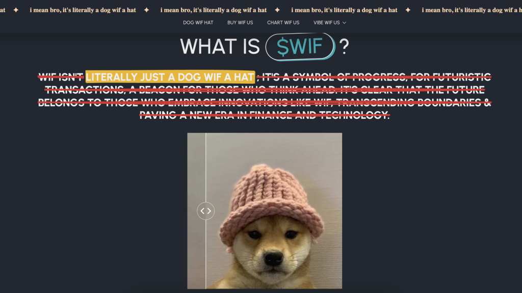 كلب يرتدي قبعة زهرية يعلوه تساؤل: "ما هي عملة Dogwifhat؟" والإجابة أنها تحمل شعار كلب يرتدي قبعة وحسب.