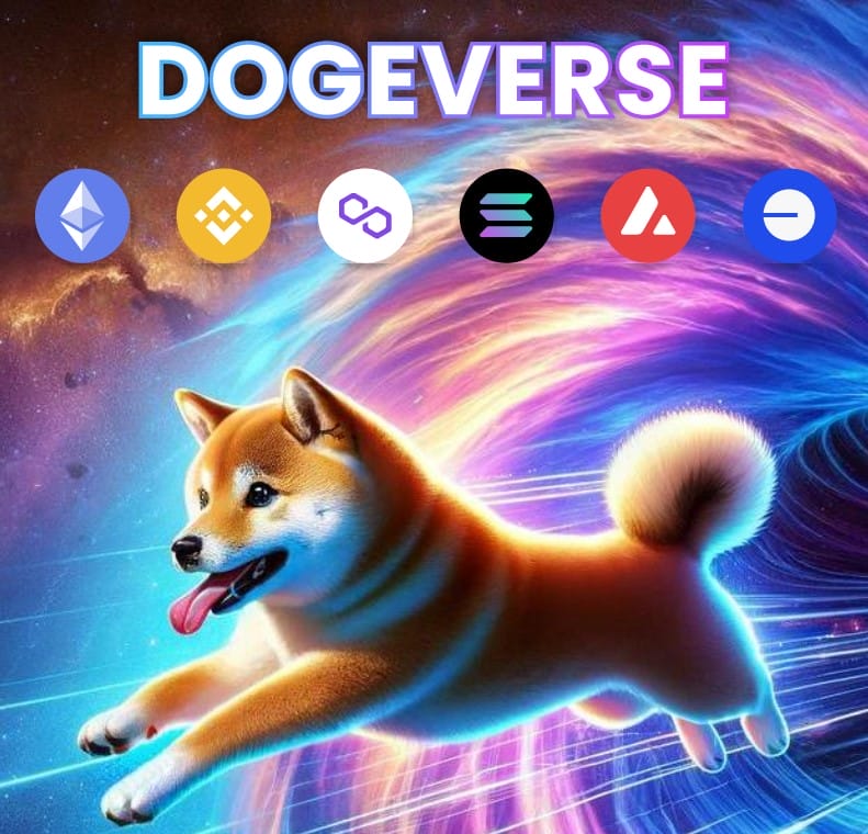 كيفية شراء دوجفيرس (Dogeverse) – دليل مفصّل