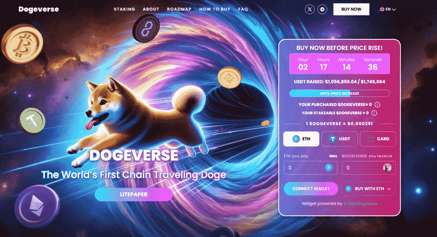 الصفحة الرئيسية لموقع اكتتاب Dogeverse