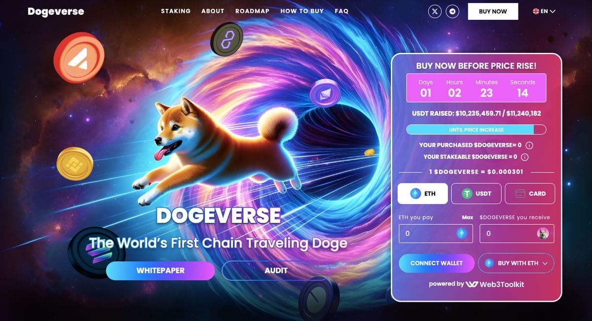 واجهة اكتتاب Dogeverse على موقعه الرسميّ