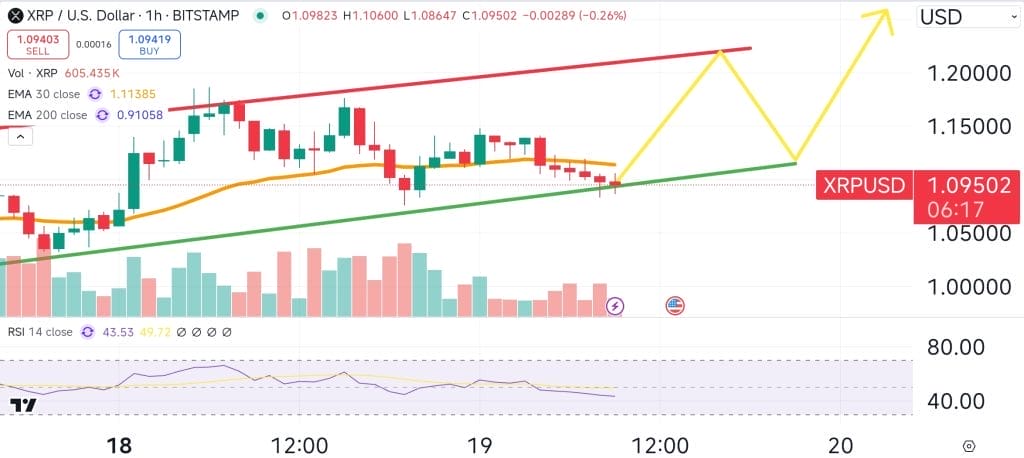مخطط بياني لسعر زوج XRP/USD