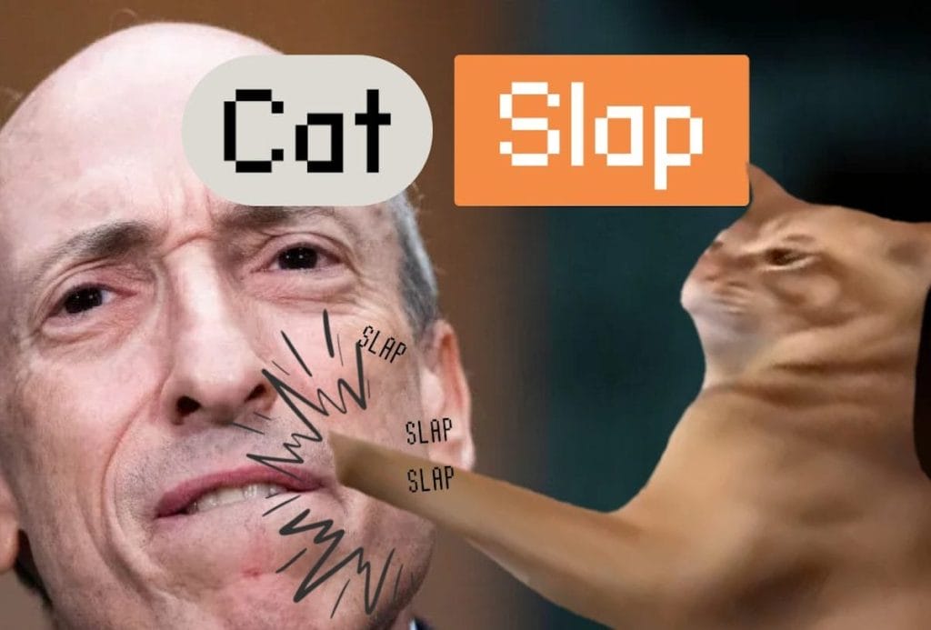 قطة تصفع رجلاً ويظهر شعار CatSlap