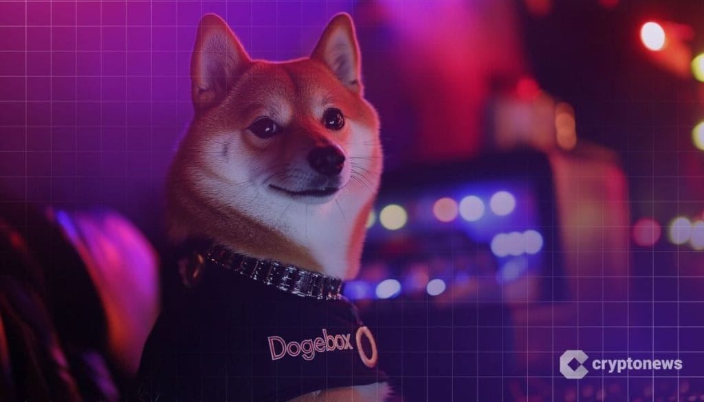 كلب دوجكوين يرتدي قميصاً عليه Dogebox