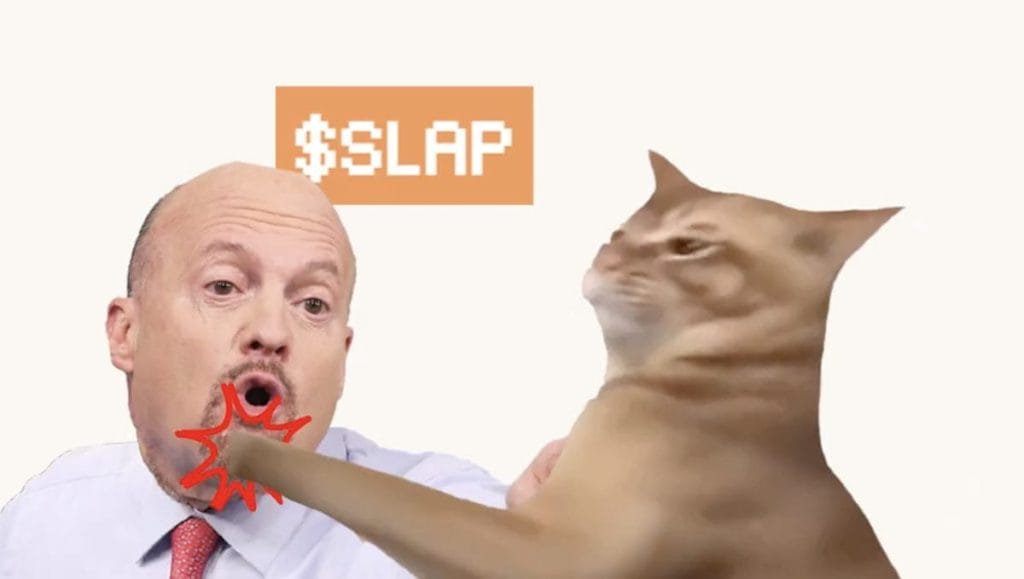 قطة تصفع رجلاً مع ظهور كلمة slap