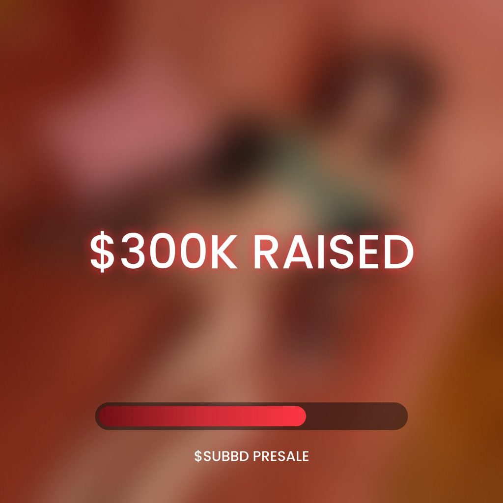اكتتاب عملة SUBBD يجمع 300,000$