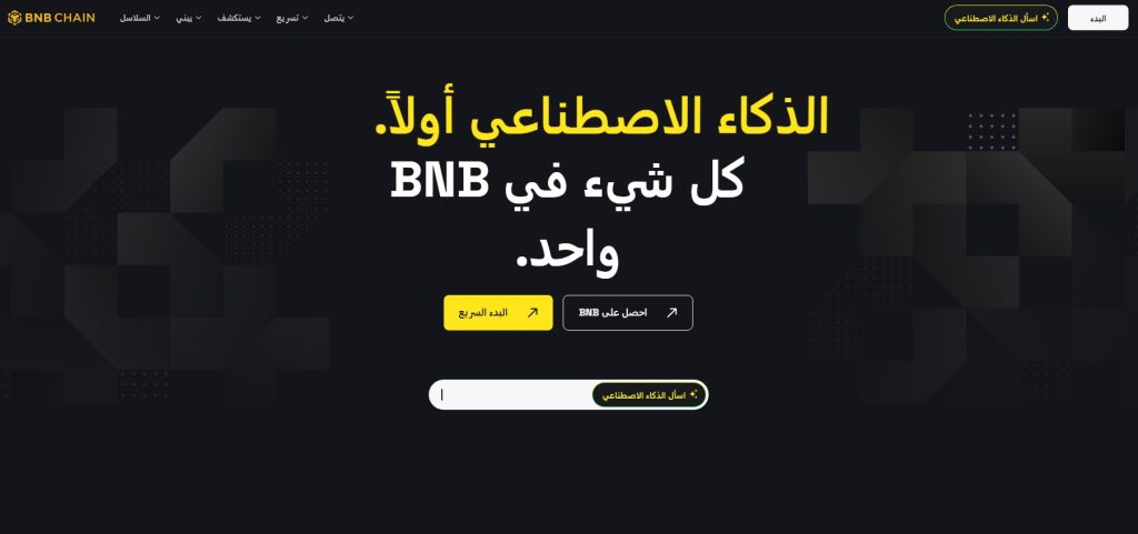 موقع شبكة بينانس كوين (BNB)