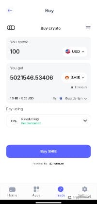 واجهة الدفع في محفظة بيست واليت