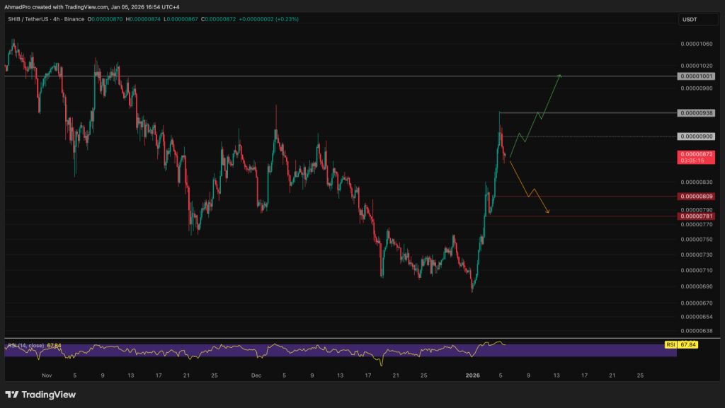 Source: SHIBUSD 4-hour period / TradingView
