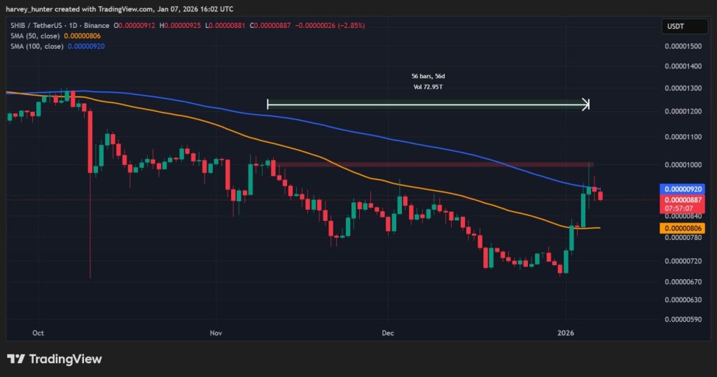 رسم بياني ليوم واحد لزوج SHIB/USDT، رفض المتوسط ​​المتحرك البسيط لمدة 100 يوم: TradingView