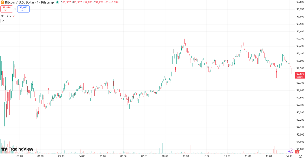 مخطط سعر البيتكوين. المصدر: TradingView