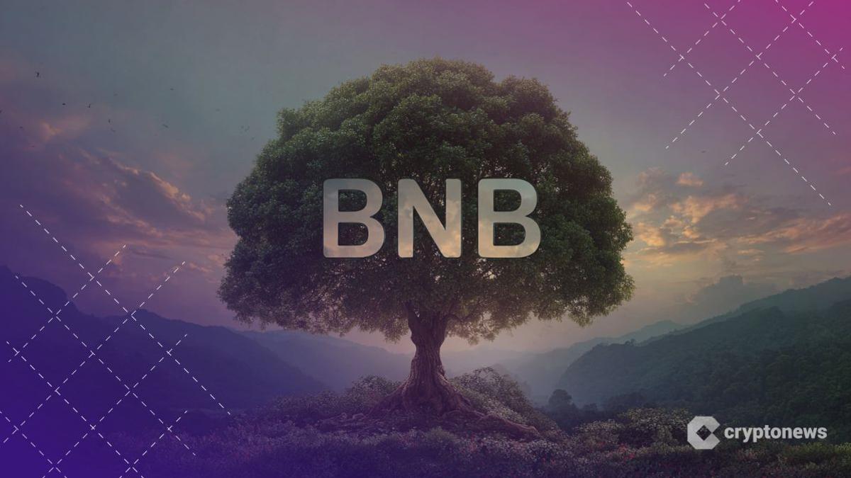 بينانس تحرق 1.3 مليار دولار من عملة BNB والأنظار تتجه نحو 650 دولاراً